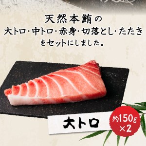 a50-096　天然本鮪満喫セット