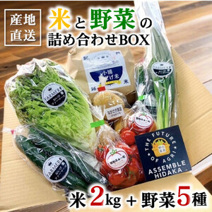 日高の郷 無洗米つきお野菜BOX(白米)【配送不可地域：離島】【1675578】