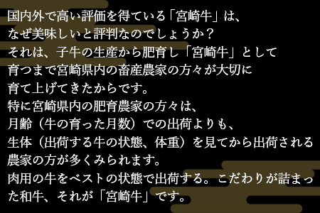 訳あり！＜贅沢合挽ミンチ（宮崎牛＋宮崎県産豚）2.4kg＞2025年10月に順次出荷【 ミンチ ハンバーグ 牛肉 豚肉 】 【2.4kg】10月出荷