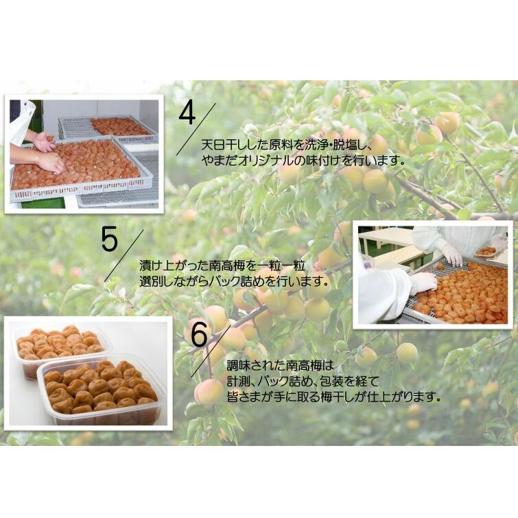 YD1008_紀州南高梅プレミアム塩分約3％（850ｇ）_イメージ3