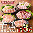 【ふるさと納税】鹿児島県産 若鶏まるごとセット(計3.05kg) 国産 鹿児島県産 小分け 冷凍 真空パック 若鶏 鶏肉 鶏 肉 もも肉 モモ肉 むね肉 ムネ肉 ささみ ササミ 筋なし 砂肝 肝 手羽先 キチンリブ 手羽元 肩肉 小肉 骨付き セット 詰め合わせ【TRINITY】