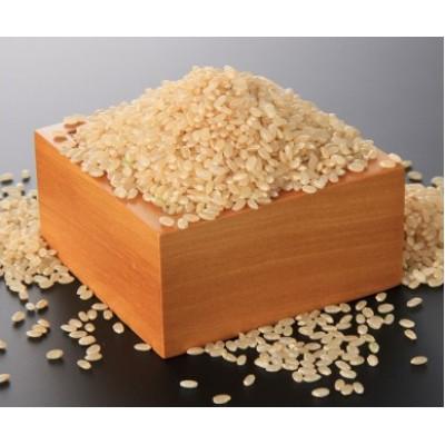 ふるさと納税 三川町 【令和7年産】玄米はえぬき10kg+つや姫パックライス4P HM1-004 |  | 03