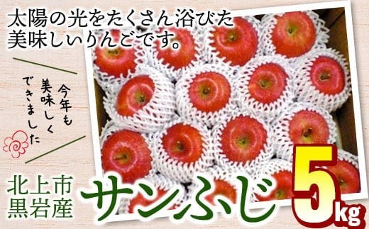 りんご（ サンふじ ）約5kg 【12月～発送開始】 フジ さんふじ 贈答 お歳暮  リンゴ 林檎 くろいわ産直  岩手県 北上市 E0310
