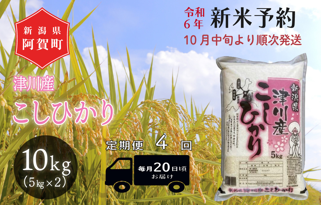 
《令和6年産米》【定期便】4回　津川産　こしひかり　10kg（5kg×2袋）
