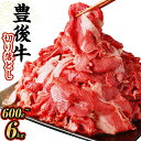 【ふるさと納税】豊後牛 切り落とし 600g～6kg 1パック約600g 豊後牛 牛肉 霜降り 小分け 和牛 お肉 国産 九州産 大分県産 九重町産 冷凍 送料無料