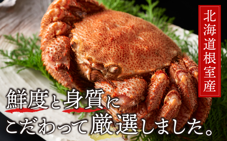 【北海道根室産】毛がに450g前後×2尾 C-21003