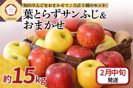【2026年2月中旬発送】 りんご 15kg 詰め合わせ 計2種(葉とらず サンふじ と 他1種)