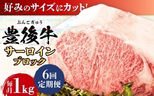 【全6回定期便】【厳選部位】おおいた豊後牛 サーロイン ブロック 1kg 日田市 / 株式会社MEAT PLUS 牛肉 おおいた豊後牛 おおいた 豊後牛 黒毛和牛  サーロイン ローストビーフ ブロック ロースト [AREI105]