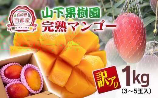 今が旬！【マンゴー専門 山下果樹園】ご家庭用完熟マンゴー 1kg 3~5個 アップルマンゴー  宮崎県西都産 生産者直送＜1.5-25＞宮崎マンゴー
