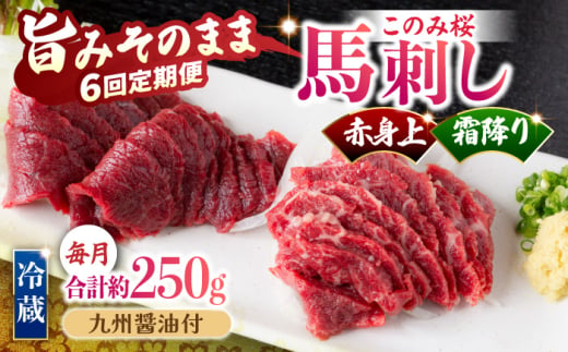 【6回定期便】鮮度抜群！冷蔵お届け 上馬刺し 2種 食べ比べ 計250g 赤身(150g) 霜降り(100g) ブランド馬肉「このみ桜」馬刺し用醤油付き【馬庵このみ】馬刺し 馬肉 霜降り 赤身ブロック 国産 九州産 冷蔵