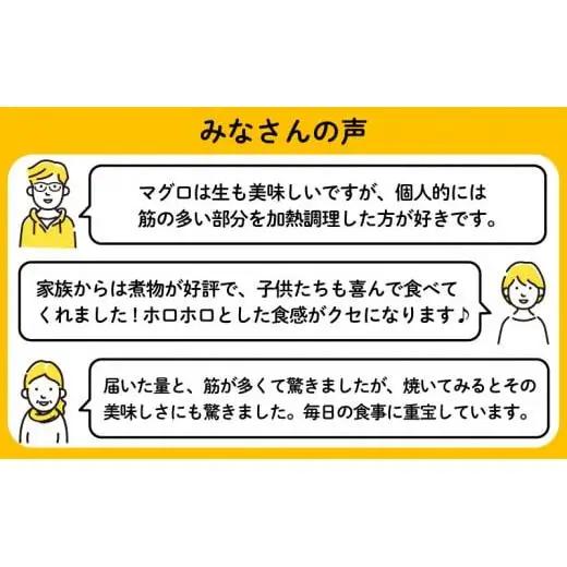【訳あり】メバチマグロハランボ2kg 鮪 鮪 鮪 鮪 鮪 TY014