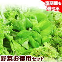 【ふるさと納税】【無農薬！開けてそのまま食べられます！】1-34 植物工場産野菜・お徳用セット 定期便も選べる 無農薬 水耕栽培 野菜 フレッシュ 新鮮 無洗浄