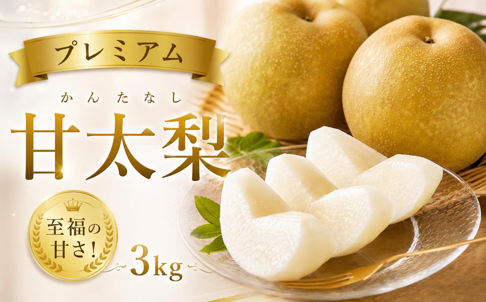 
                  プレミアム甘太梨 3kg【梨 なし ナシ 果物 フルーツ ギフト 先行予約 甘い 果実 果汁 デザート もぎたて 旬 新甘泉好きな方におすすめ】
                