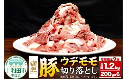 《定期便1ヶ月毎に9回お届け》 燦然 豚ウデモモ切り落とし（200g×6p入） 使いやすい小分パック 青森県十和田市産 [豚肉 赤身 パック 200g 小分け さんぜん 国産]