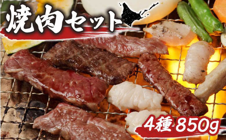 
【大畠精肉店】 焼肉セット（計4種×850g） ｜ オンライン 申請 ふるさと納税 北海道 新十津川 焼肉セット 焼き肉セット カルビ サガリ タン ホルモン 食べ比べ 食べ比べセット 焼き肉 BBQ バーベキュー 冷凍 キャンプ アウトドア お取り寄せ 取り寄せ 新十津川町【13009】
