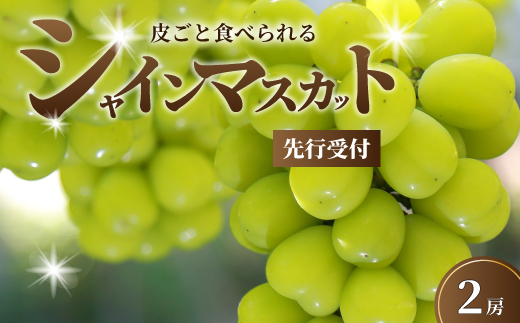 【先行予約】 久和田農園の朝採り シャインマスカット 2房 マスカット ぶどう ブドウ 果物 フルーツ 広島県 三原市 034003