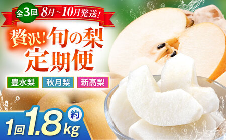 【先行予約】【3回定期便】 梨 約1.8kg 計約5.4kg（豊水・秋月・新高）  梨 ナシ フルーツ 果物 【日本フルーツ株式会社】[ZFJ069]
