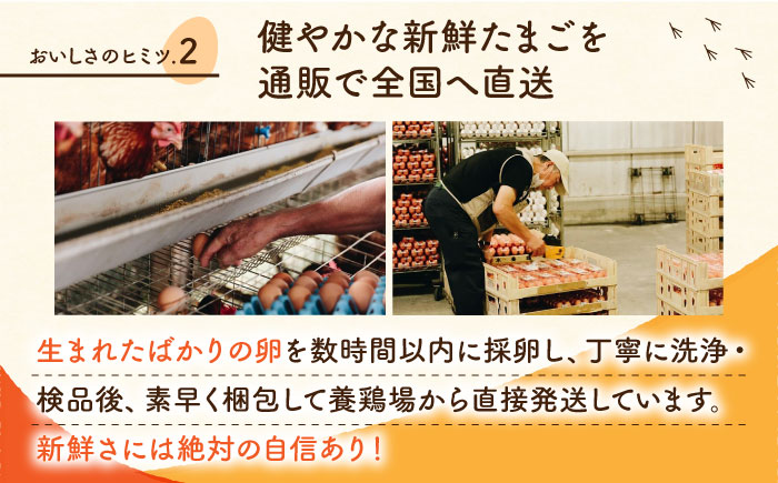 【全3回定期便】赤たまご M玉 90個（85個＋5個割れ保証）【農事組合法人 鹿本養鶏組合】 [ZCA014]