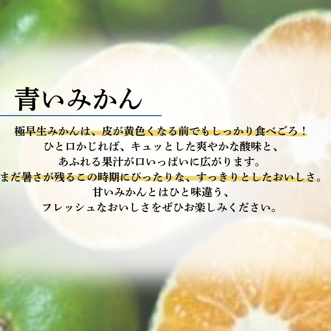 【先行予約】 黒潮の恵みをたっぷり浴びた さっぱり甘い 極早生みかん 5kg ～数量限定～ [rk049]