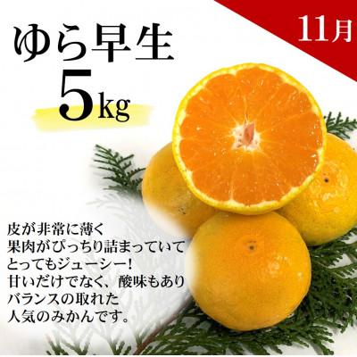 ふるさと納税 日高町 【発送月固定定期便】どの坂果樹園自慢の柑橘定期便(ゆら早生・完熟みかん・不知火)　各約5kg全3回 |  | 01