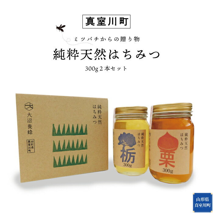 【ふるさと納税】‥ミツバチからの贈り物‥　純粋天然はちみつ(300g)2本セット