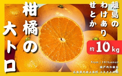 【2027年3月発送】 瀬戸内 訳あり せとか 約10kg 糖度14度 国産 せとうち 広島 大崎上島 柑橘 訳あり 果物 フルーツ 産地直送 141Lemon