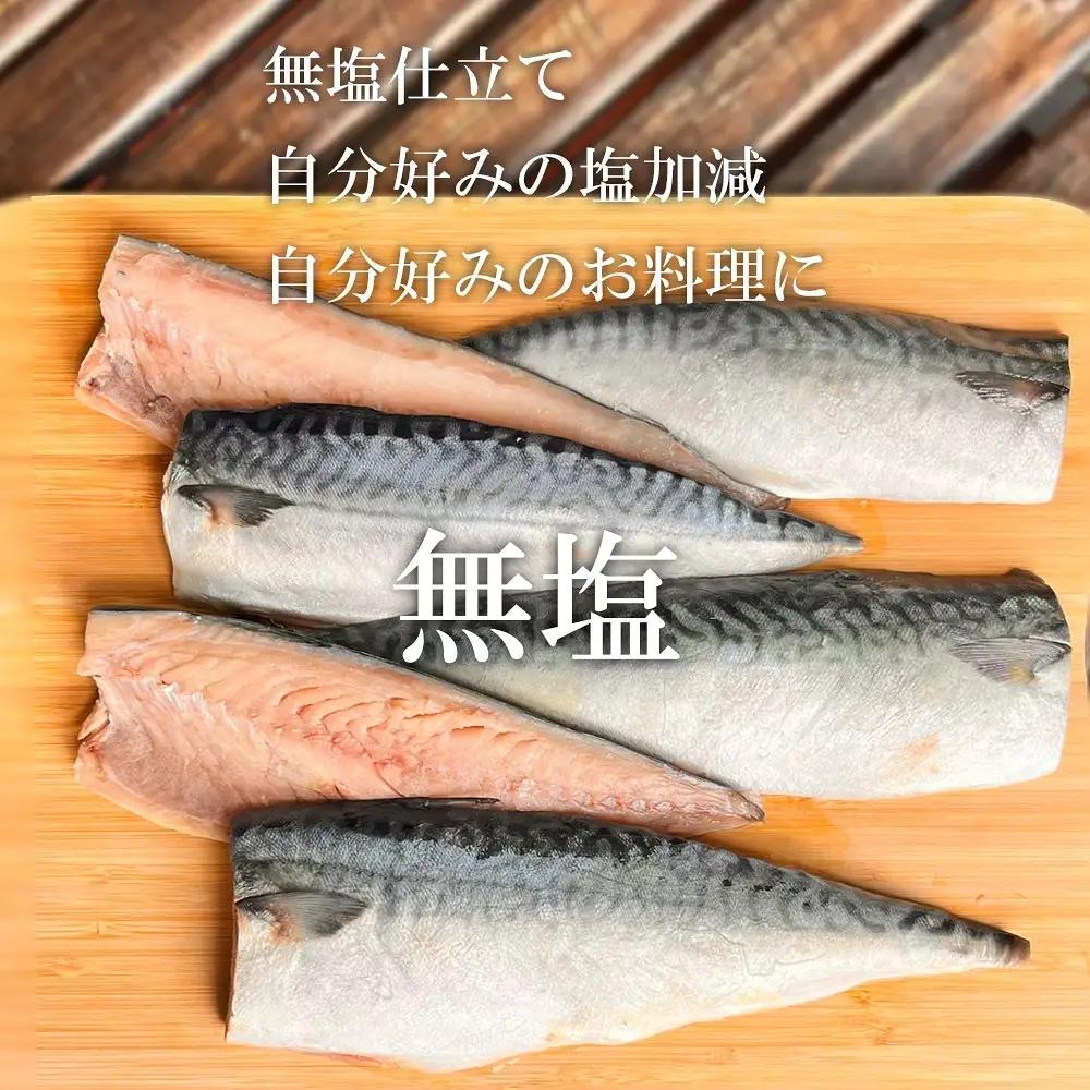 さば 金華サバ 半身13枚 無塩 鯖