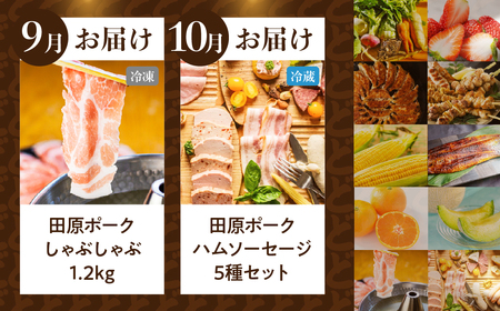 渥美半島の恵み どうまい 定期便 全10回（ 野菜 セット いちご 餃子 焼き鳥 うなぎ とうもろこし みかん メロン 豚肉 ハム ソーセージ ) 青うなぎ 名古屋コーチン マスクメロン ご当地 人気