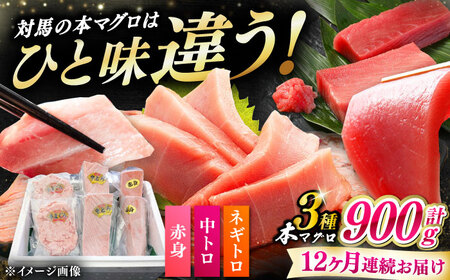 【全12回定期便】 対馬産 本マグロ 3種 計900g（赤身/中トロ/ネギトロ）[WAH042] マグロ まぐろ トロ