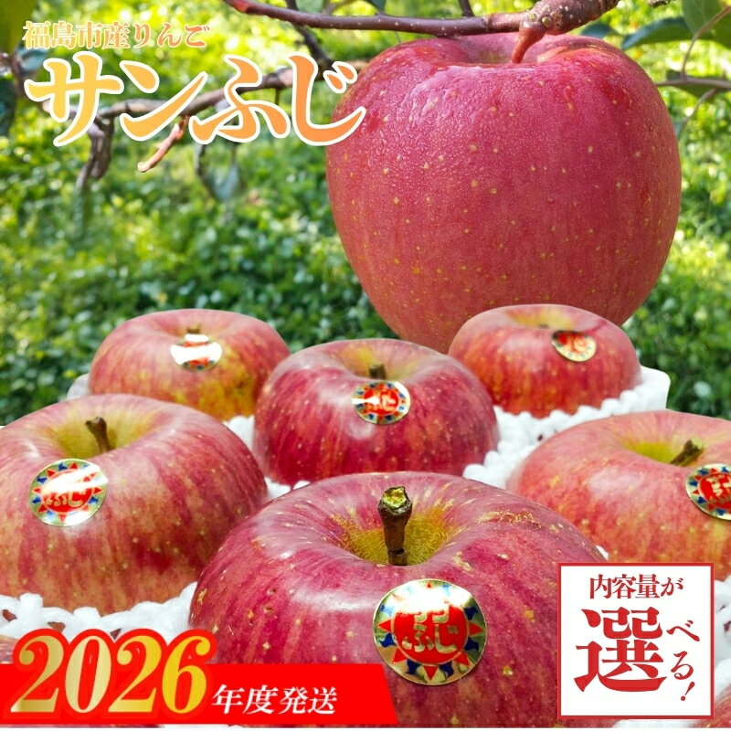 【ふるさと納税】りんご「サンふじ」【ご家庭用】選べる 約3kg 約5kg【2026年発送】