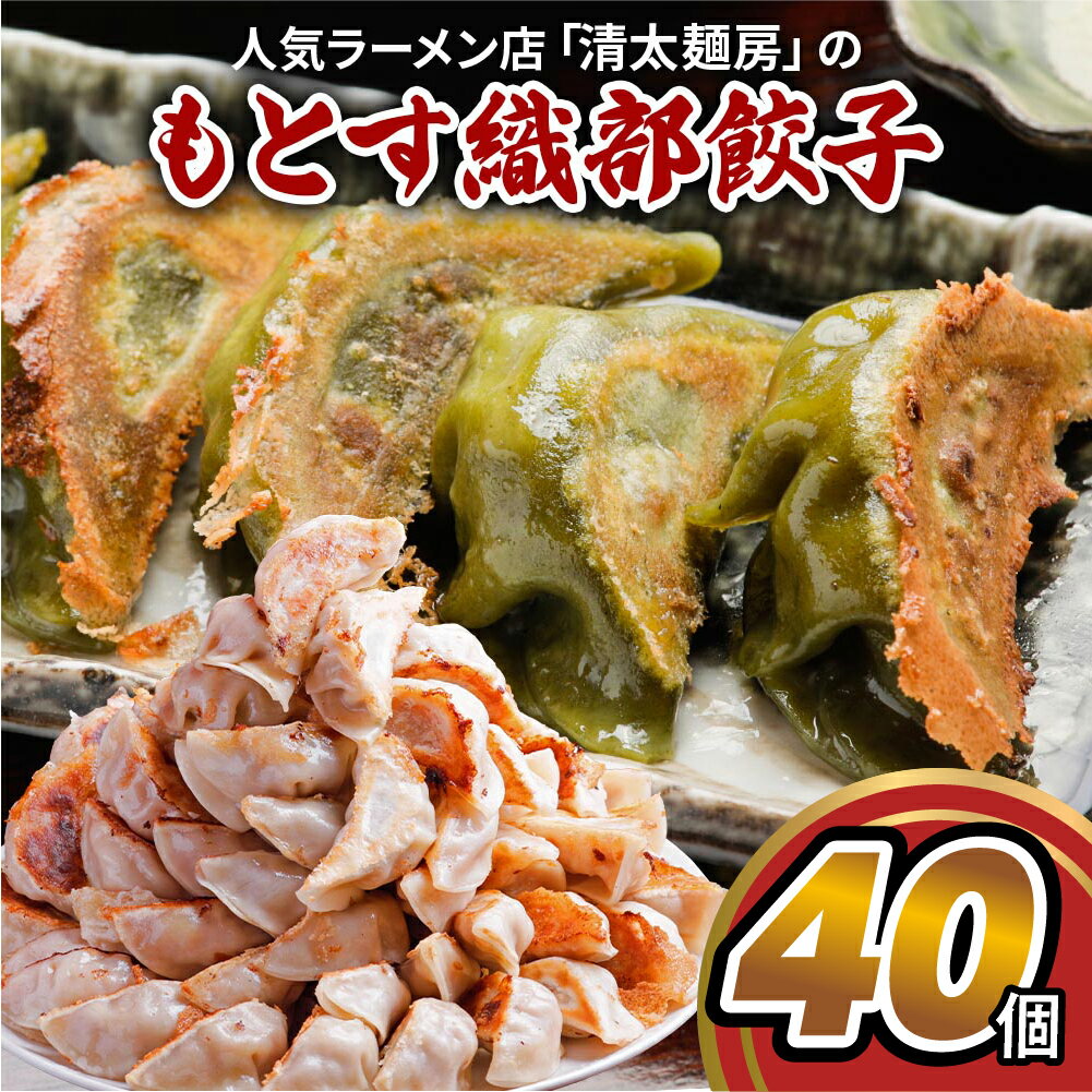 【ふるさと納税】 あっさり塩味、織部焼リスペクトの「もとす織部餃子 40個」ぎょうざ ギョウザ 冷凍 あたためるだけ お取り寄せ グルメ グルメ [mt1580] 8000円