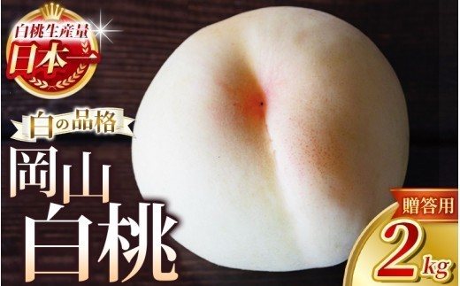 【2026年7月下旬頃発送開始】桃 岡山白桃 約2kg 贈答用 花田青果 フルーツ王国の桃 品種お任せの桃 桃 フルーツ 果物 もも モモ momo 白鳳 清水白桃 川中島白桃 先行予約 クール便【hnds001】