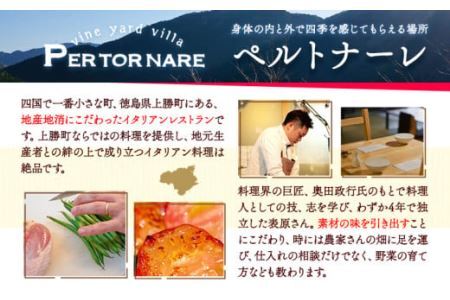 ラザニア 2人前 × 2セット ペルトナーレ 《30日以内に出荷予定(土日祝除く)》ラザニア 温めるだけ レトルト イタリアン イタリア料理 料理 冷凍 電子レンジ オーブン 徳島県 上勝町 送料無料