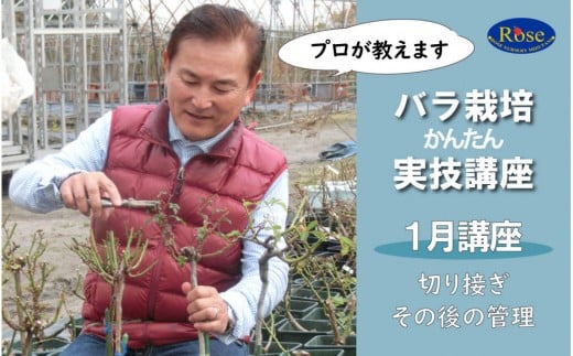 プロが教えるバラ栽培実技講座【1月：切り接ぎ・その後の管理】