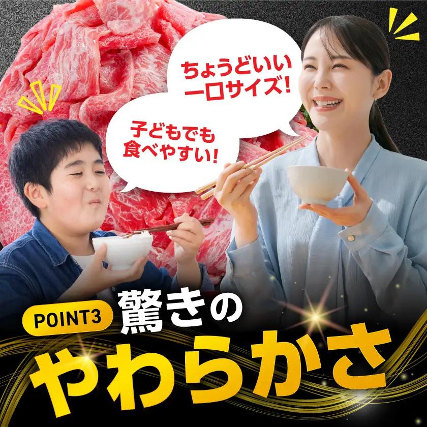 霜降り風牛切り落とし1.5kg【牛脂注入加工品(成型肉)】〔11-36-001-1500g〕_(都城市) ビーフ 切落し 肉 牛丼 炒め物 おかず