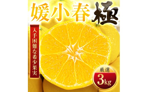 ＜太陽をたっぷり浴びた＞媛小春(ひめこはる)＜極＞3kg＜E49-99＞【1623960】 YWTZ084