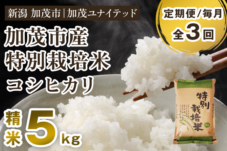 
            【令和6年産米】【定期便3ヶ月毎月お届け】加茂市産 特別栽培米 コシヒカリ 精米5kg 栽培期間中は化学肥料・農薬不使用 新潟米 お米 白米 こしひかり 加茂ユナイテッド
          