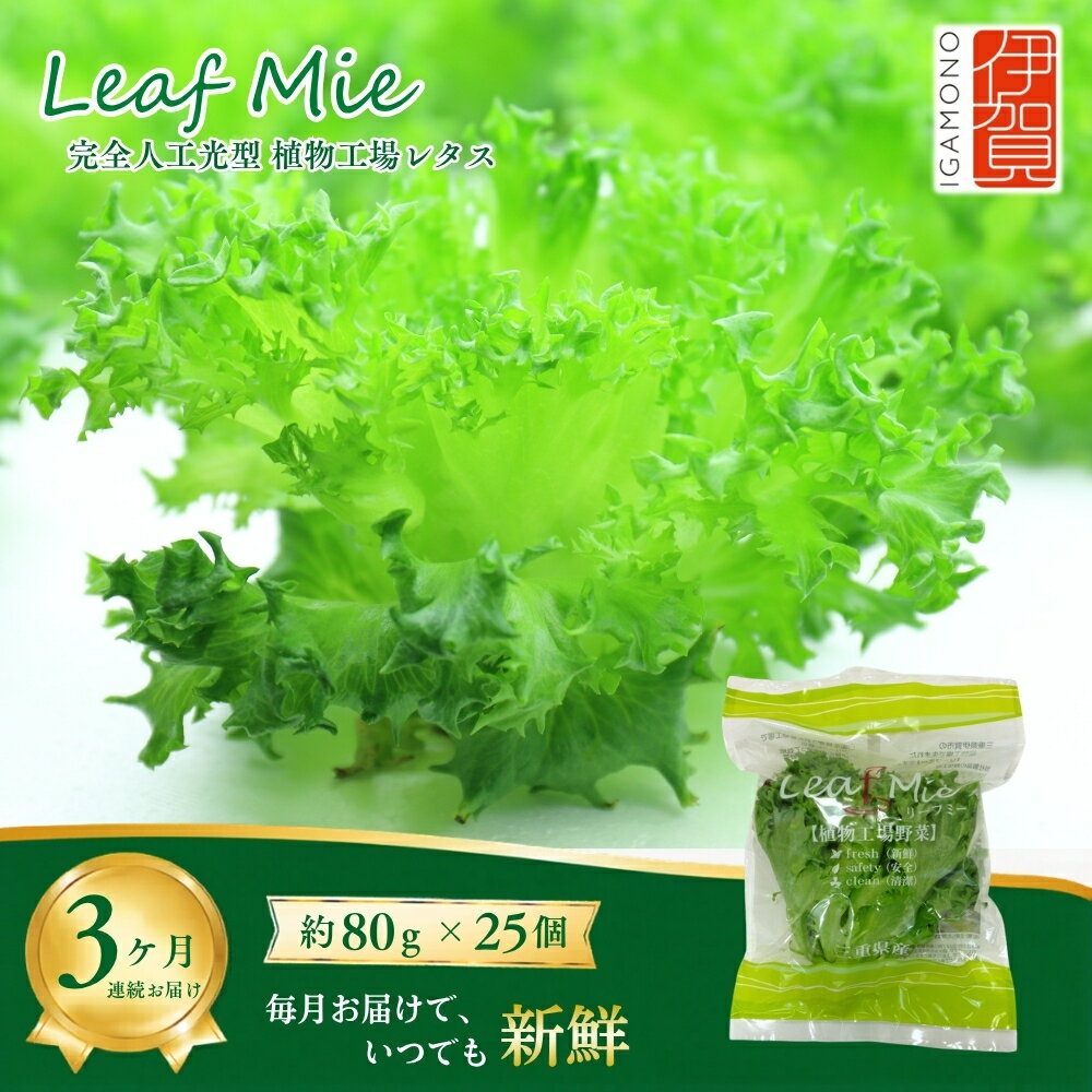 【ふるさと納税】【農薬不使用】 Leaf Mie（完全人工光型植物工場レタス）約80g×25個 3ヶ月連続お届け