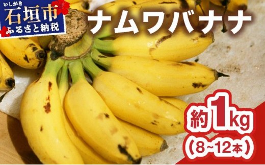 ≪2026年4～10月順次発送≫ 石垣島産 希少な国産『ナムワバナナ』を贅沢に1房丸ごと約1kg（8-12本） TF-101_R8