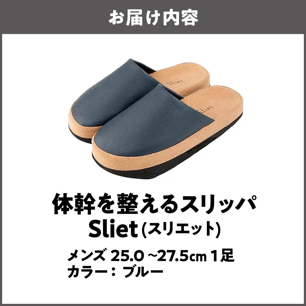 体幹を整えるスリッパ Sliet(スリエット) メンズ 25.0-27.0cm ブルー_OS350-0006