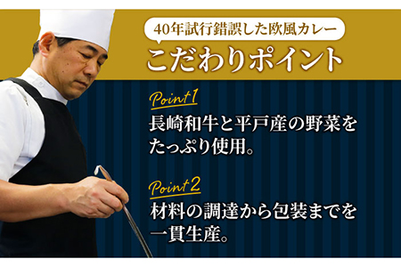 中辛 平戸ビーフカレー 3食【カレー工房　NVfoods】[KAB075]/ 長崎 平戸 惣菜 レトルト ビーフ カレー 長崎和牛 野菜 一人暮らし 防災