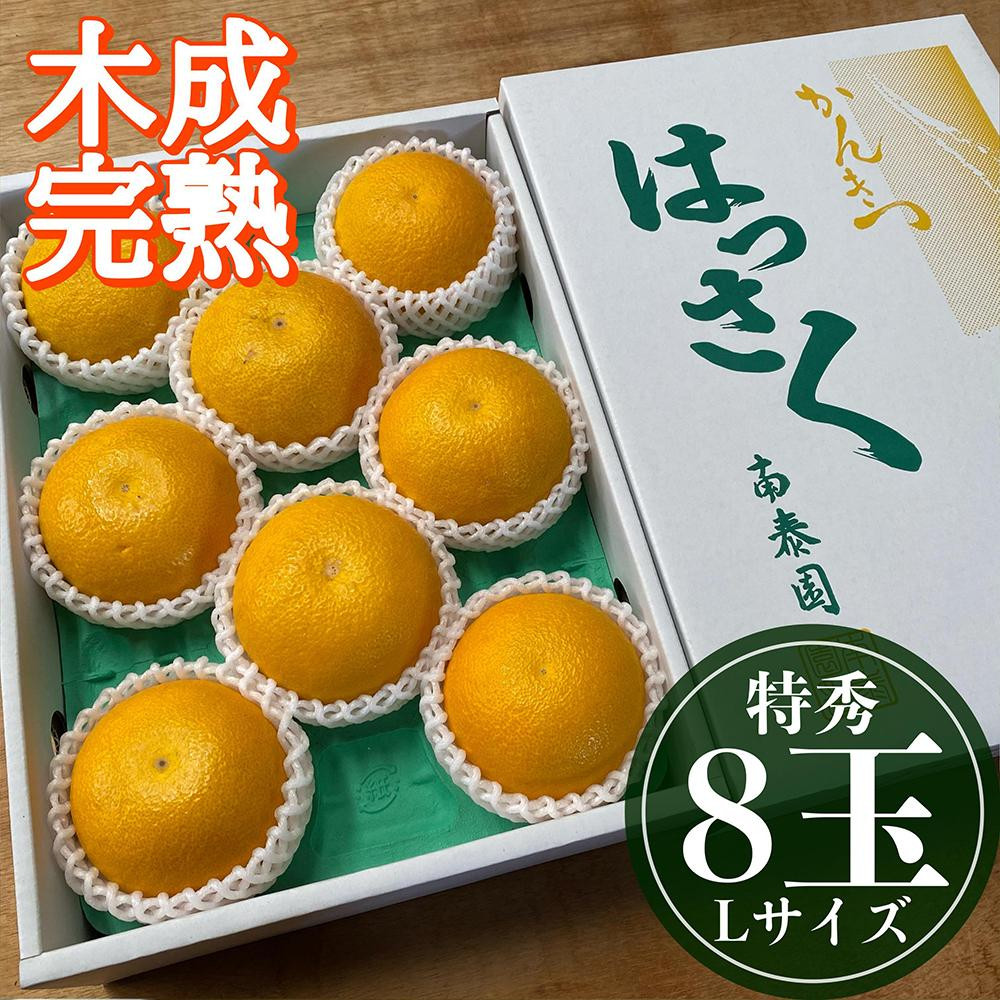 
            4月 まで 木成 完熟 させた 有田 はっさく 特秀 L × 8玉 化粧箱 南泰園 みかん
          