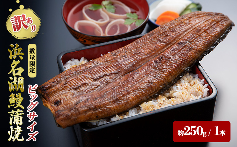 
            【訳アリ・数量限定】浜名湖鰻蒲焼1本（約250ｇ） ビッグサイズ　うなぎ ウナギ 鰻 蒲焼 蒲焼き 魚貝類 訳あり 土用の丑の日 静岡県 浜松市 [№5360-0210]
          