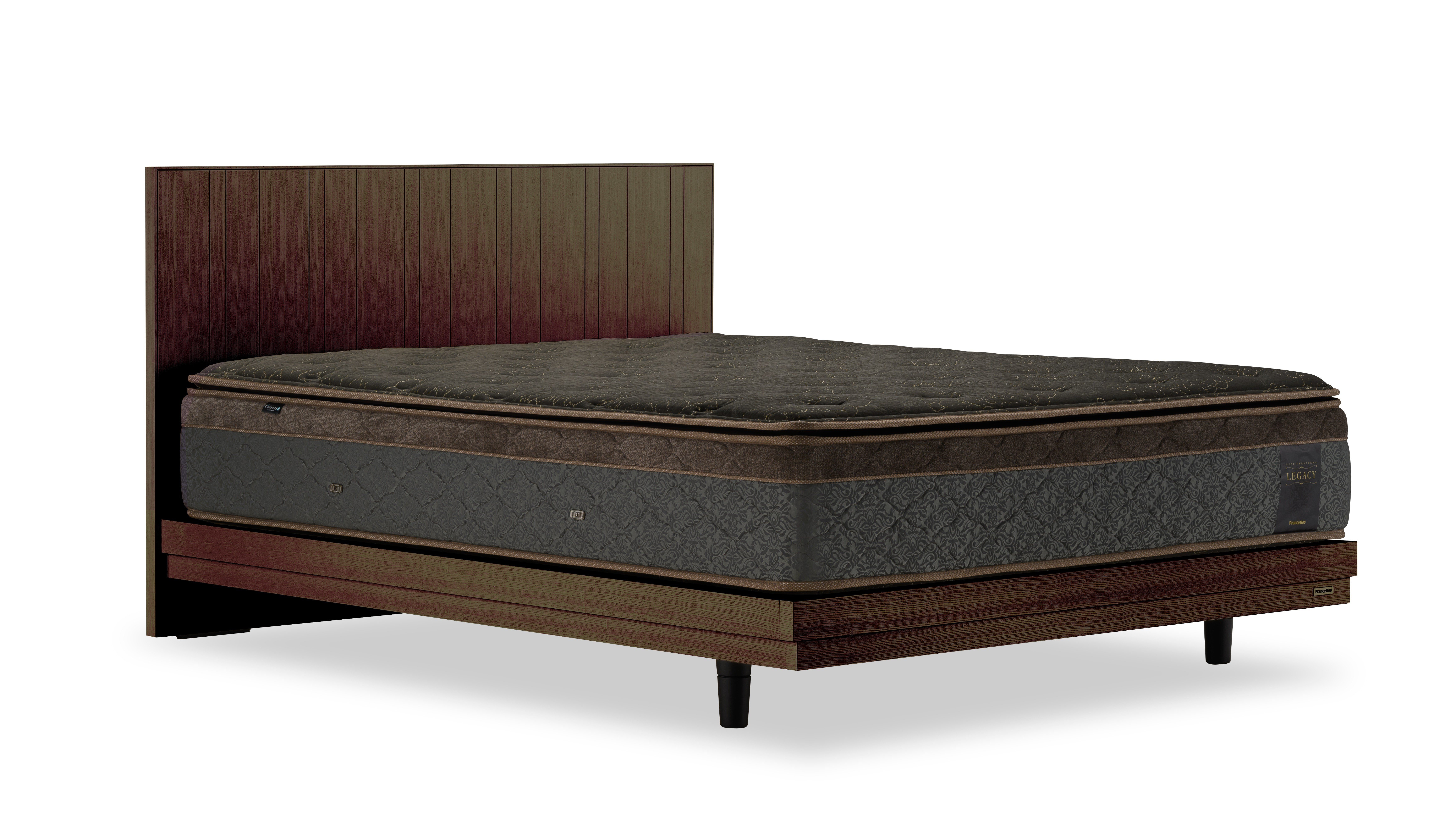 
            フランスベッド テレス01F 脚付きタイプ シングル／セミダブル マットレス付き／フレームのみ
          