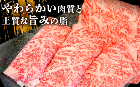【全国有数のブランド牛】佐賀牛ローススライス 500ｇ　（すき焼き・しゃぶしゃぶ用）【がばいフーズ】[HCS001]