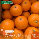 【ふるさと納税】【 先行受付 】 瀬戸内 大崎下島産 大長八朔 10kgはっさく 八朔 みかん ミカン 柑橘 果物 フルーツ 甘い ジューシー 先行 受付 予約 お取り寄せ 常温配送 送料無料 瀬戸内 広島県 呉市 先行予約