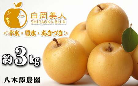 【糖度保障・完熟】八木澤農園の美味しい梨　約3kg　幸水・豊水・あきづき