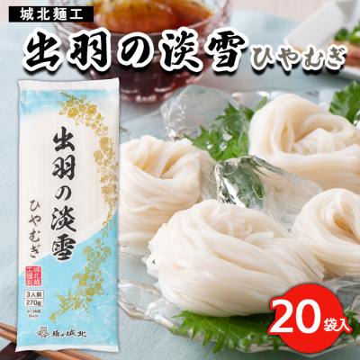 ふるさと納税 山形市 【城北麺工】出羽の淡雪ひやむぎ 20袋入 FY23-262