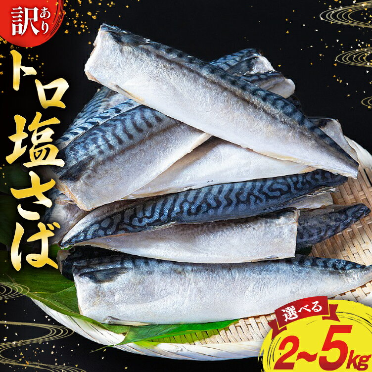 【ふるさと納税】訳あり 塩サバ フィレ 【選べる内容量】2kg/3kg/5kg [足利本店 宮城県 気仙沼市 20565497] 魚 海鮮 さば サバ さば 鯖 サバフィレ 鯖フィレ 切り身 冷凍 訳アリ わけあり トロサバ 減塩 とろさば 無添加 人気