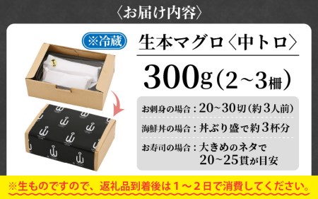 まぐろの王様！生本マグロ中トロ300g　G団★5！ [e04-a081] 本まぐろ 本マグロ まぐろ マグロ 鮪